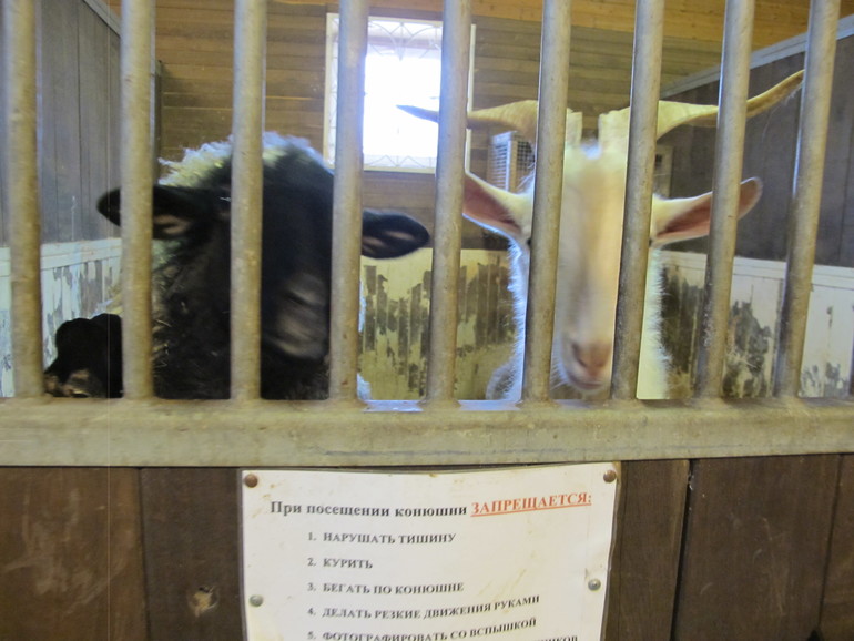 Зимние каникулы