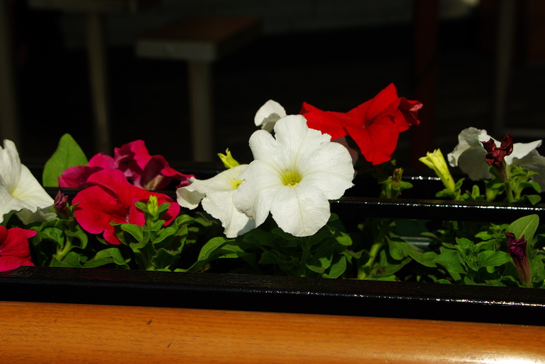 Луховицы 01.05.2014