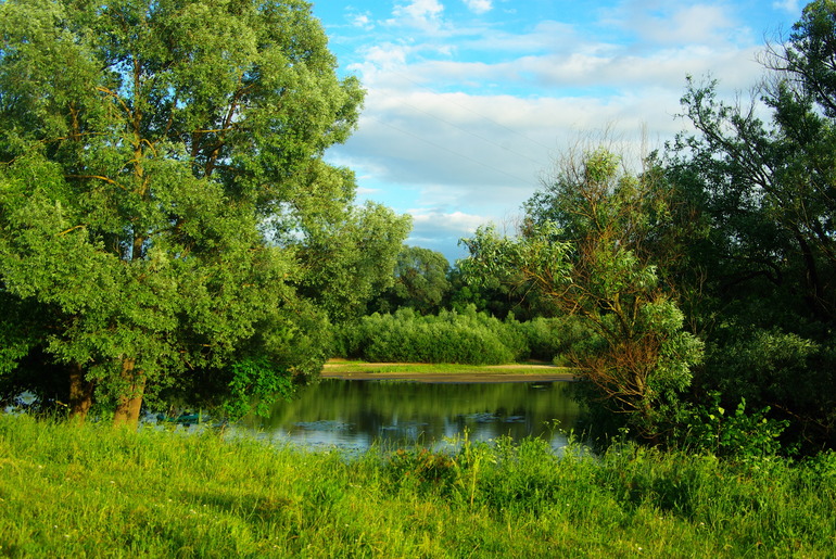 село Дединово (Московская обл)