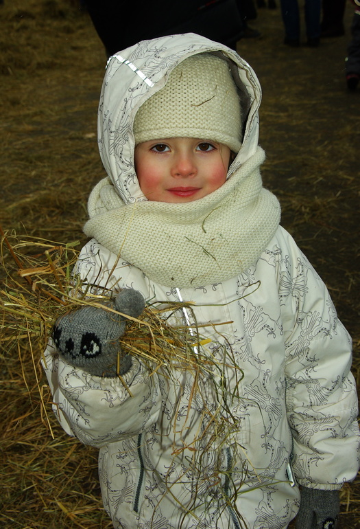 Широкая масленица в Парке Горького 2014