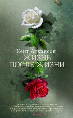 Без лишних слов