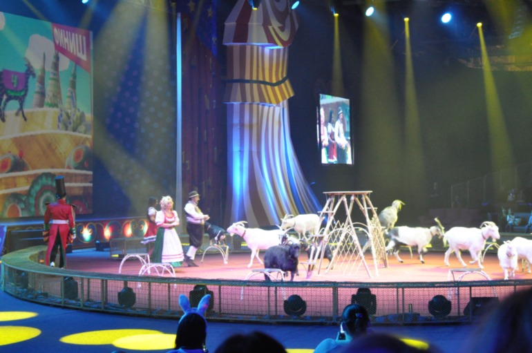 Вчера были на