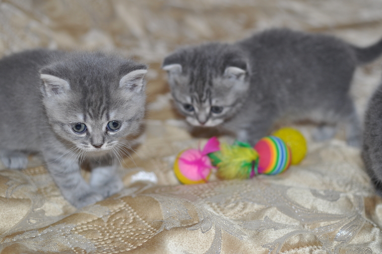 Мои шшшшладкие.....Нам месяц и 1 день.