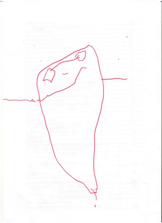 Данилкино творчество