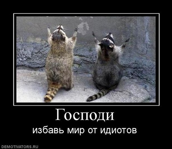 События на сегодня в картинках))