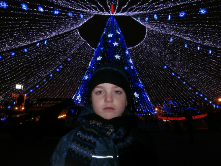 городская елка.