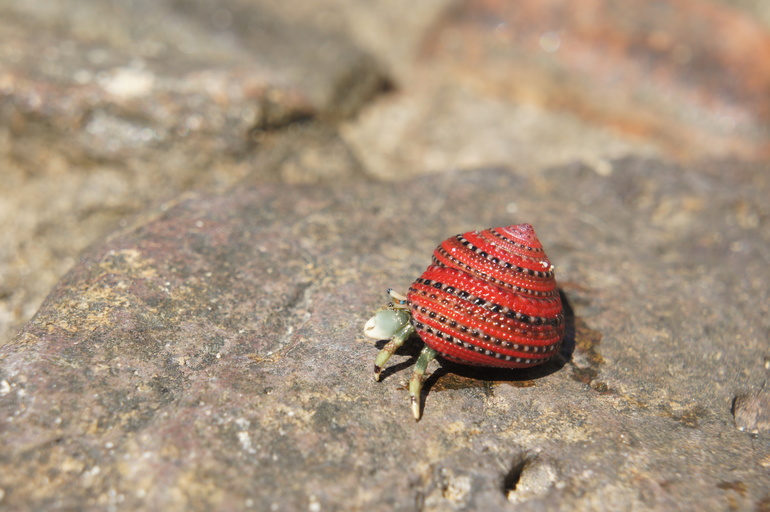 Отпускное фото