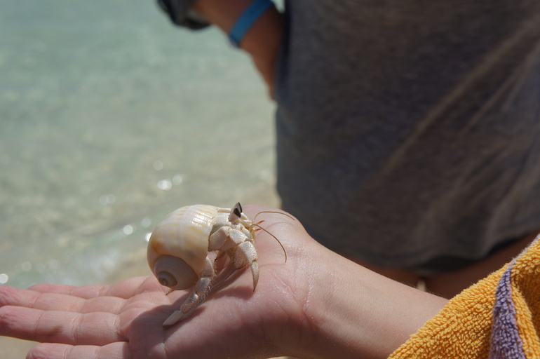 Отпускное фото