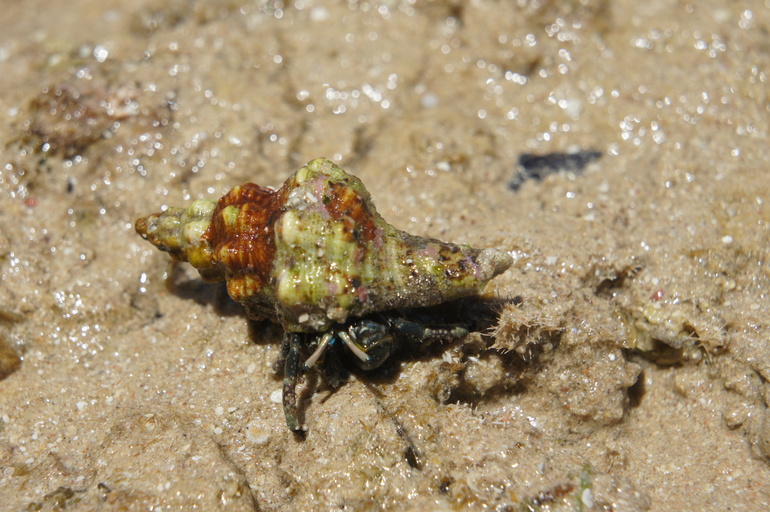 Отпускное фото