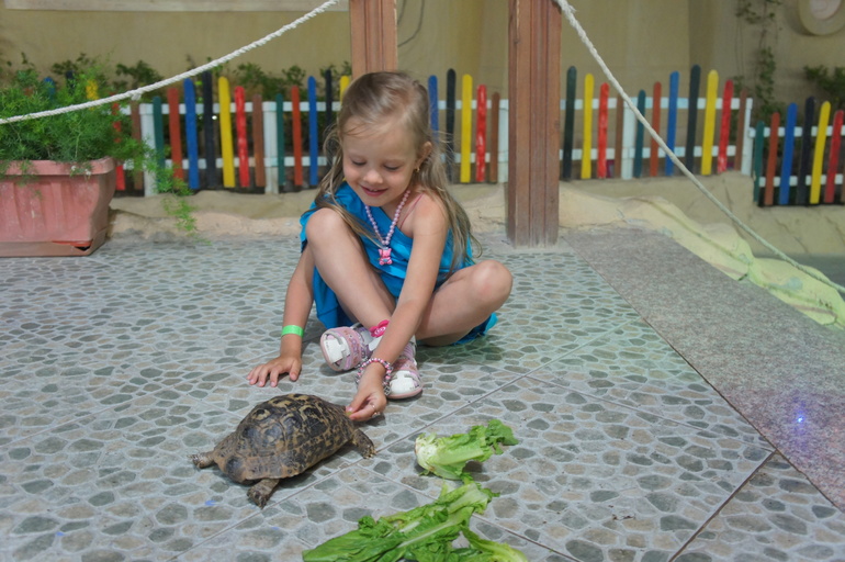 Отпускное фото