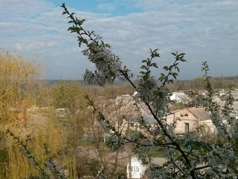 Небо из моего окна