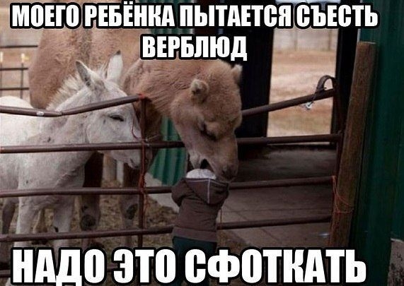 Юмор дня