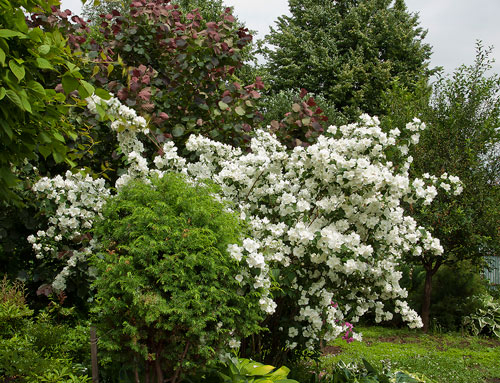 Помогите чайнику