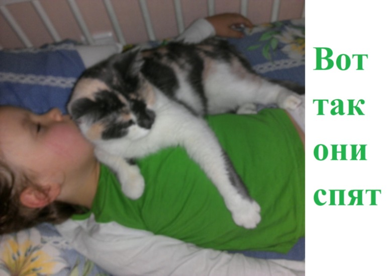 Две дружилки:)