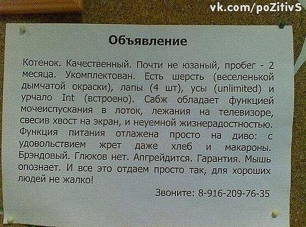 Себе настроение поднимай и о друзьях не забывай.