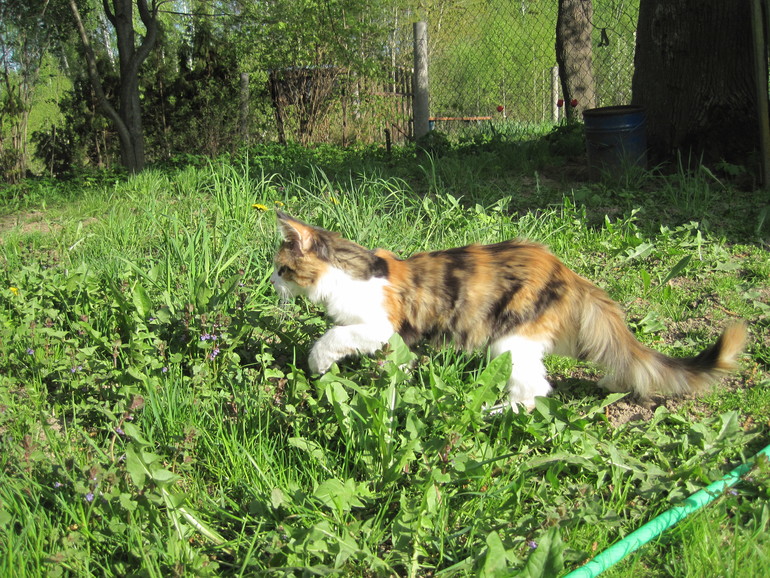 Кун-каникулы