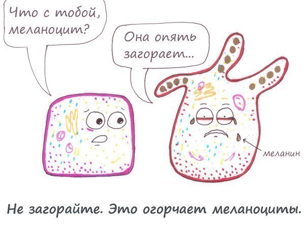 Лето