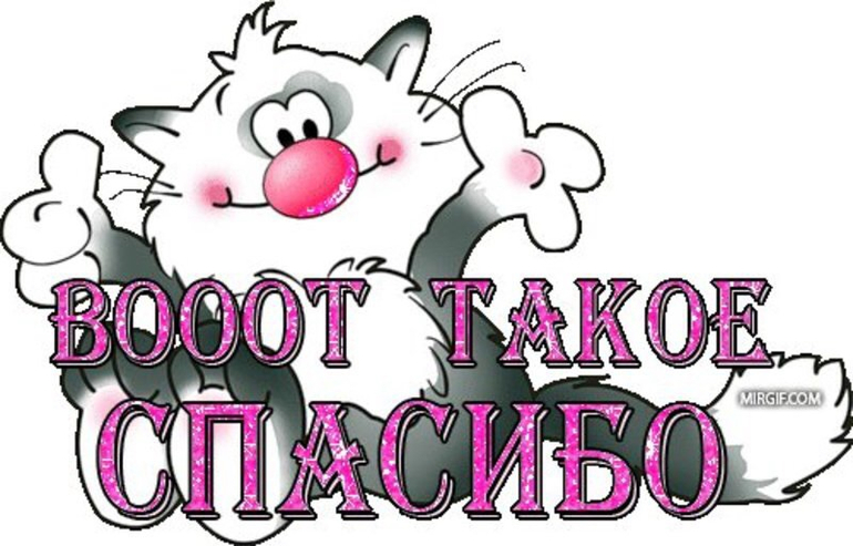 Мой Хомяк дома!