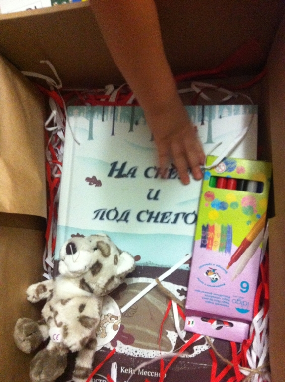 Про Аист бокс