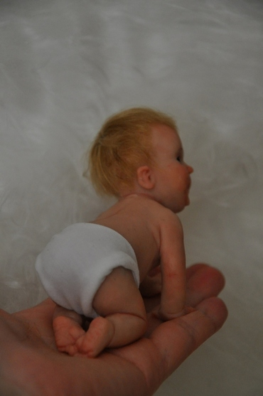 Новые малыши