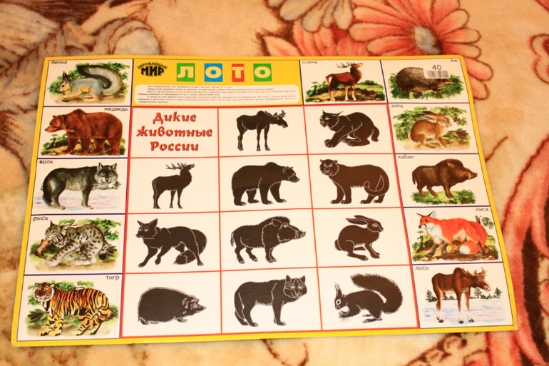 Развивашки. Наши новые приобретения.