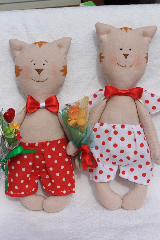 Майский кот