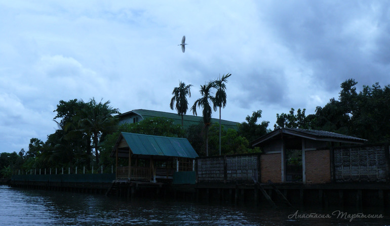 Контрольное задание № 21. "Применение инструмента Света/Тени (Shadow/Highlight)"