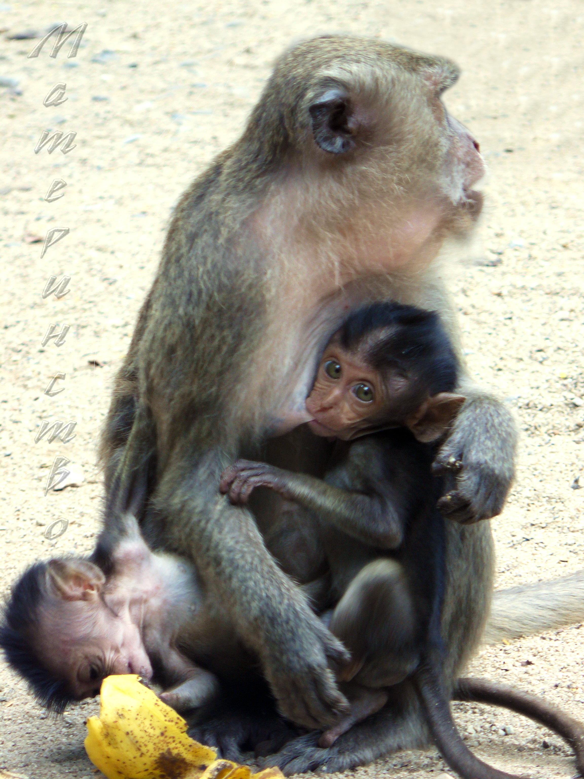 Контрольное задание № 12. Имитируем объём и глубину