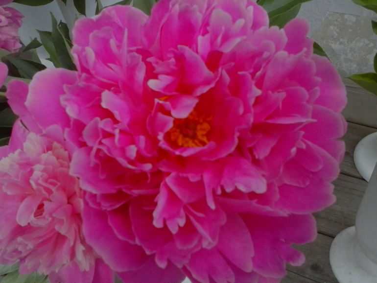 Хочу скорее лето!!!