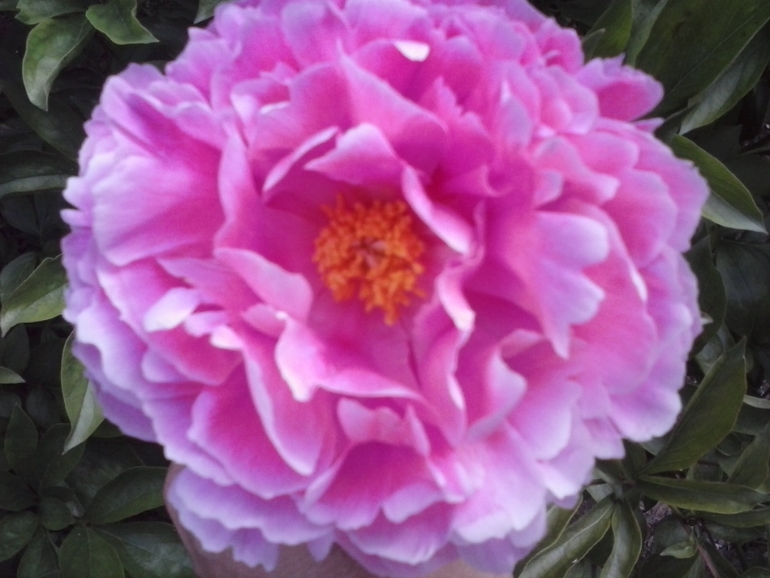 Хочу скорее лето!!!