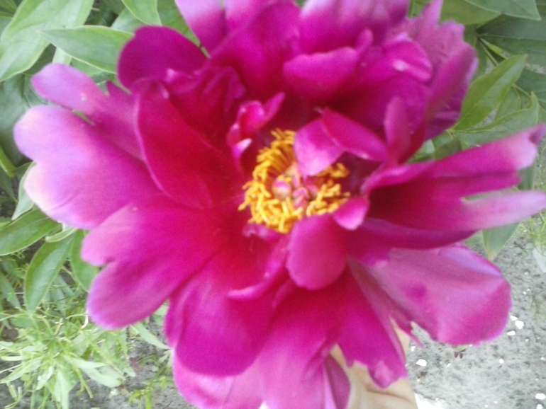 Хочу скорее лето!!!