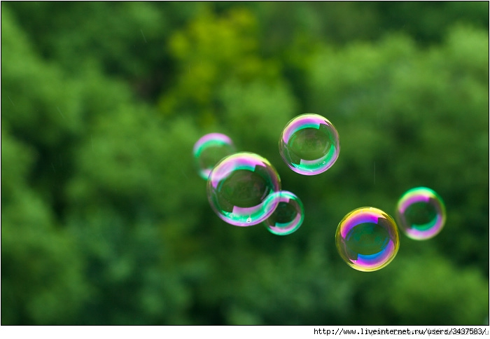 Напишите ваши идеи))))