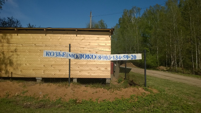 ЦЕНА ЖИЗНИ СОБАКИ - КУРИНЫЕ ЯЙЦА