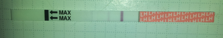 Тест на овульку