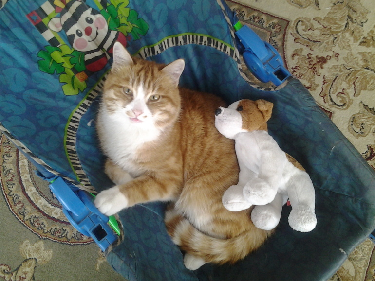 Рыня был прощён и помилован!