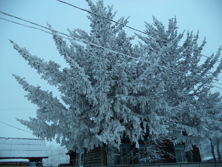 Русская сказка!