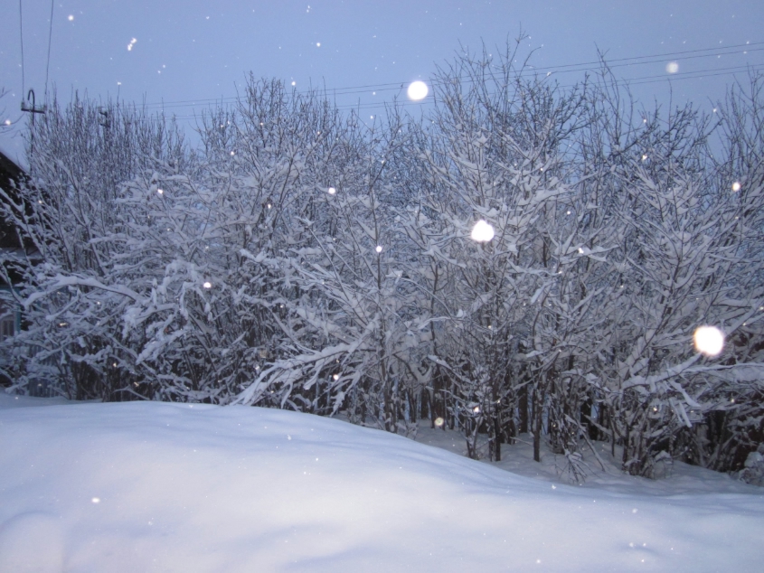 Вот токое 19 марта