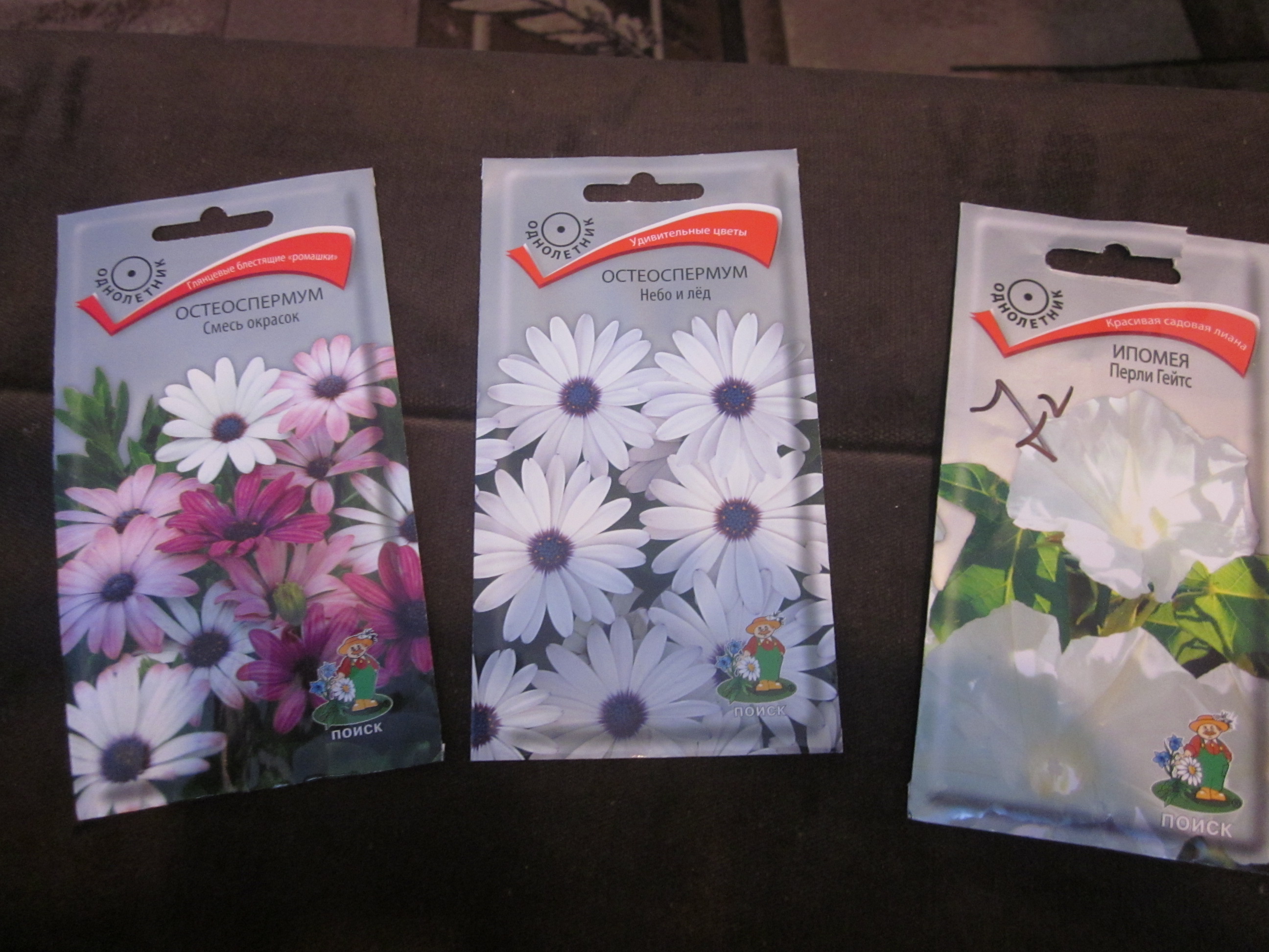 Закупила цветочков!