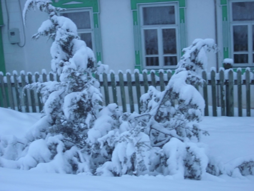 Вот токое 19 марта