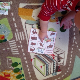 домашние животные ( отчет )