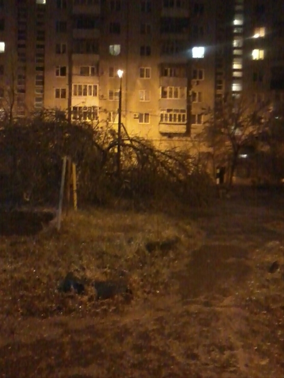 Зимняя сказка?