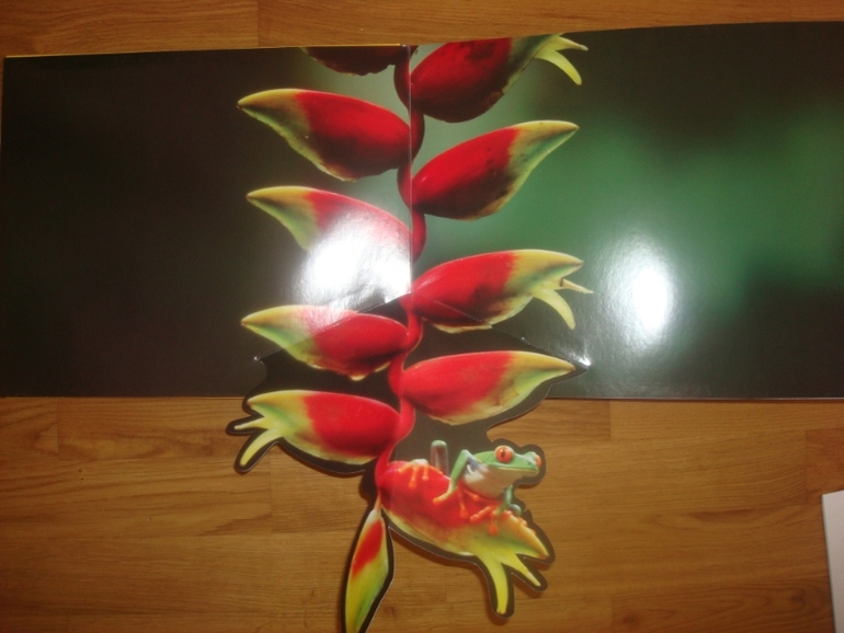 Большой книжный май. Часть 1-я.