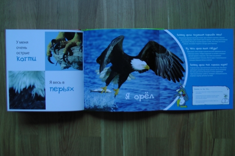 А у нас опять книжное пополнение...