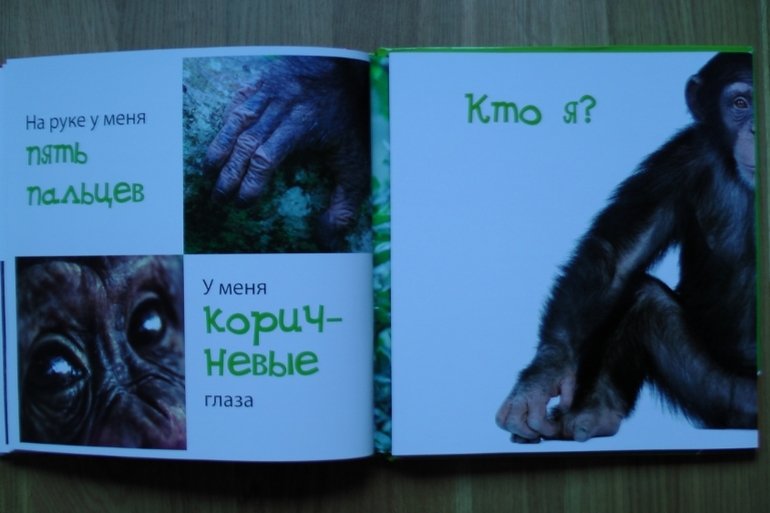 А у нас опять книжное пополнение...