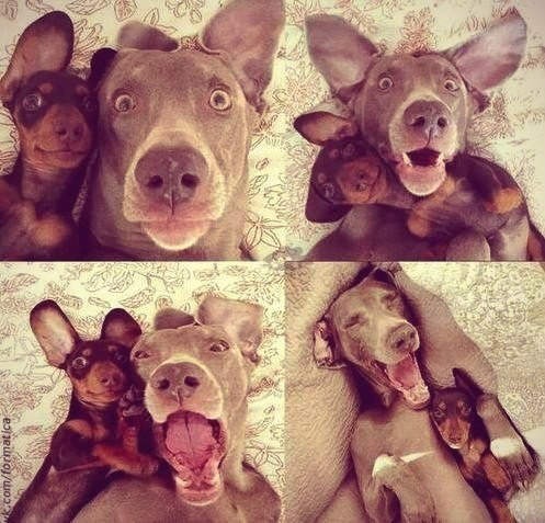 Стрижка и Позы для фото