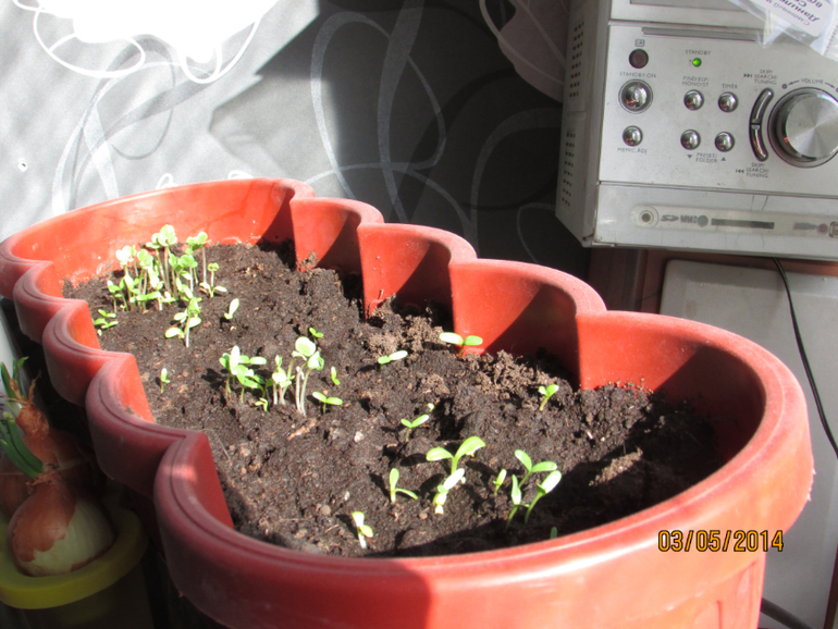 Немного нашей жизни