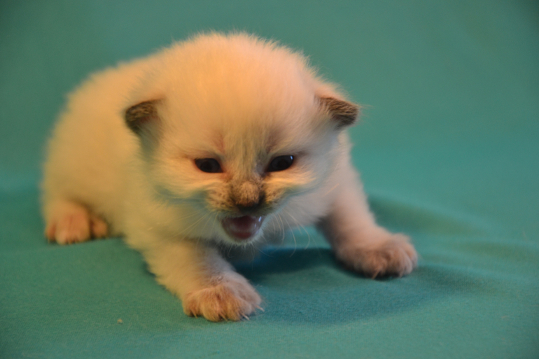 Наши малыши