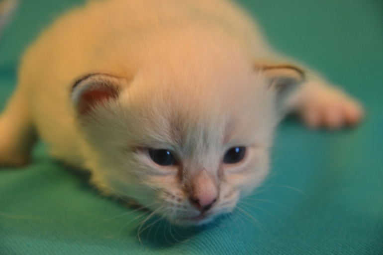 Наши малыши