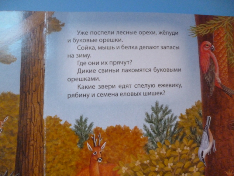 Первые книги малыша. Учим новые слова (бюджетные гляделки, много фото)