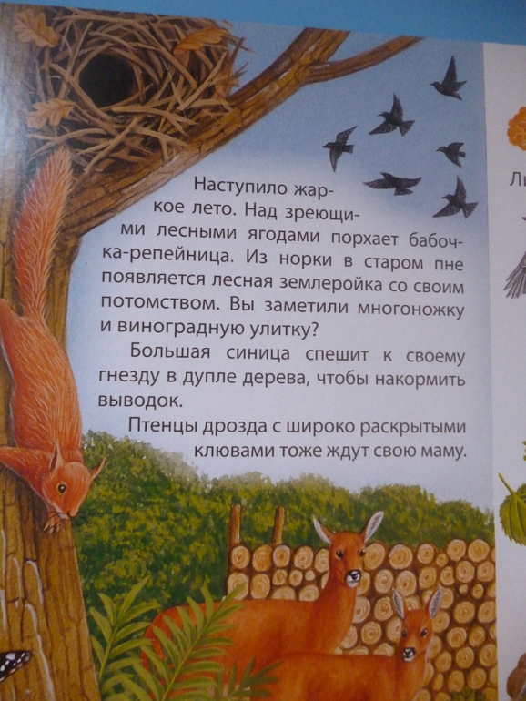 Первые книги малыша. Учим новые слова (бюджетные гляделки, много фото)